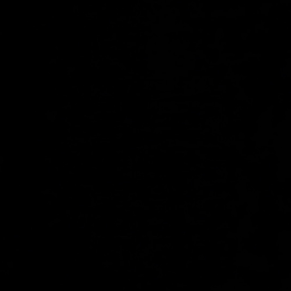 Meet your Posher, Sasha